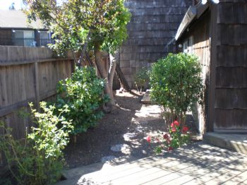 tinkerbell75 profile photo