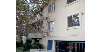 Phasmatrope profile photo