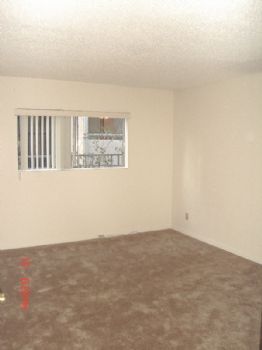 Phasmatrope profile photo