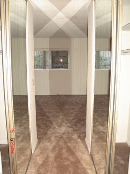 Phasmatrope profile photo