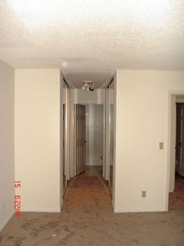 Phasmatrope profile photo