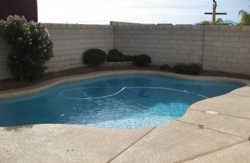 Punkunity profile photo