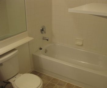 Punkunity profile photo