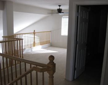 Punkunity profile photo