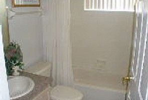 davidmagier profile photo