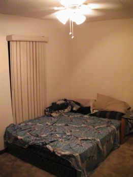 tracerbullet profile photo