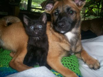 lmtscp07 profile photo