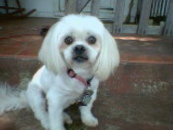 Daisygirl profile photo