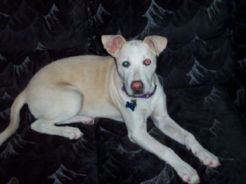 djmgyx profile photo