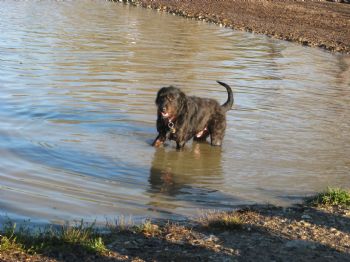 ebishop00 profile photo