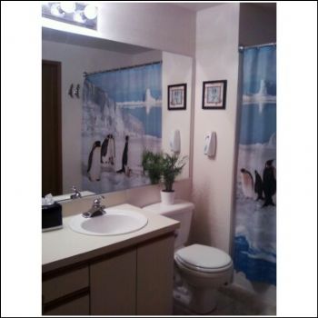 penguin_fan profile photo