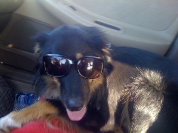 erind08 profile photo