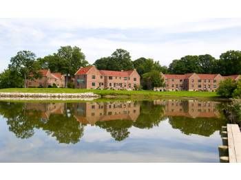 hollyrobin profile photo