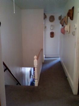 AriGirl84 profile photo