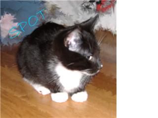 Macci07 profile photo