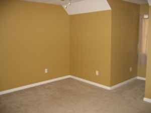 cjspiller09 profile photo