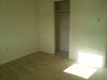 dion196 profile photo