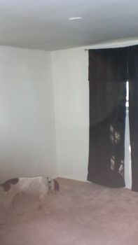 tassha83 profile photo