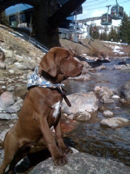 afieger profile photo