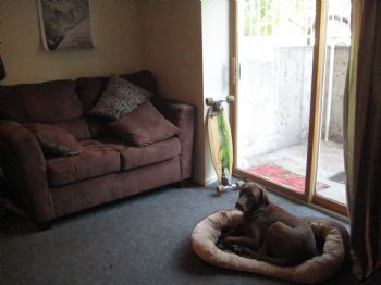 afieger profile photo