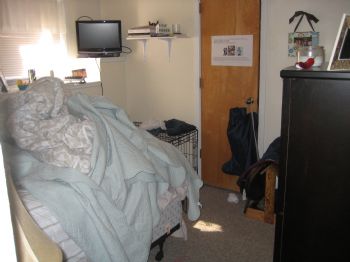 afieger profile photo