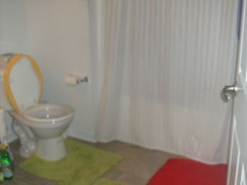 shawkins profile photo