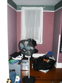 08spaansa profile photo