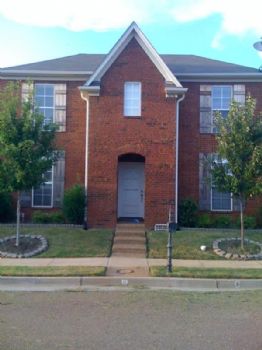 shelbygt01 profile photo