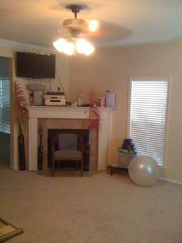 shelbygt01 profile photo