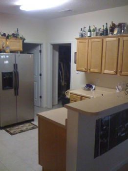 shelbygt01 profile photo