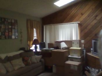 tichia profile photo