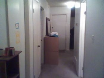 tichia profile photo