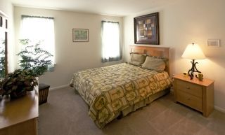 mjparker2 profile photo