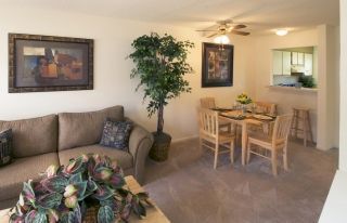 mjparker2 profile photo