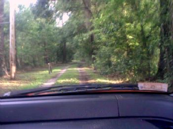 shewtinstars profile photo