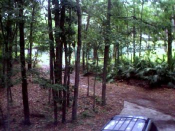 shewtinstars profile photo