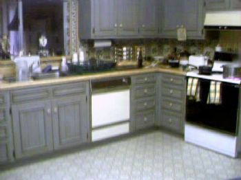 shewtinstars profile photo