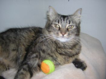 athena04 profile photo