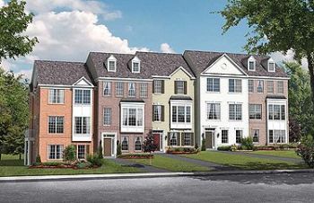 tdoggrme profile photo