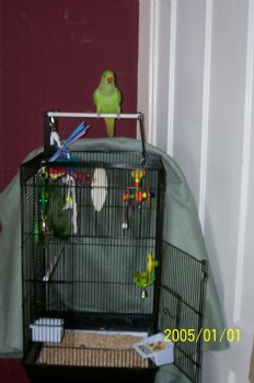 JWoodard88 profile photo