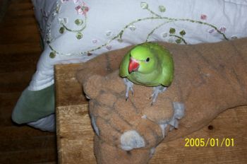 JWoodard88 profile photo