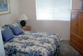 brybry1 profile photo