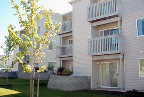 brybry1 profile photo