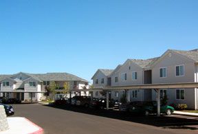 brybry1 profile photo