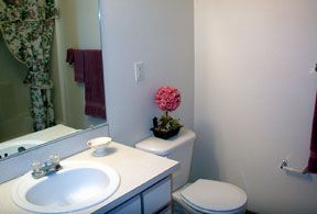 brybry1 profile photo