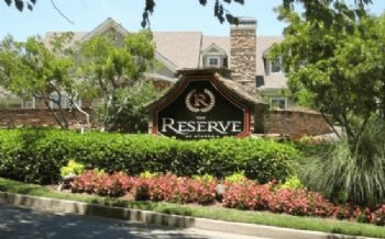 dkabee profile photo