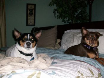 bakert94 profile photo