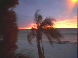 tibedo11 profile photo