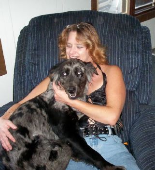 Freedom68 profile photo