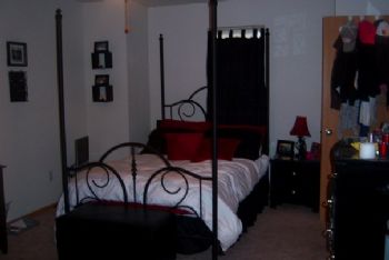 lngvd3 profile photo